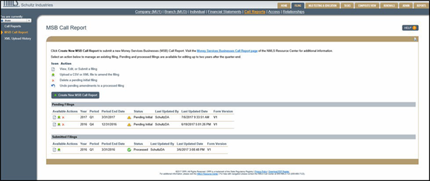 Money Service Business Call Report screen